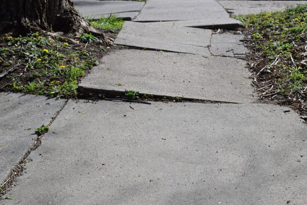 Concrete Sidewalk Leveling in Dunedin